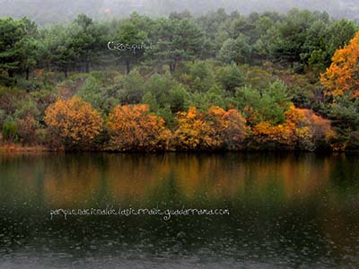 Colecci�n de Fotos del Arroyo del Chiquillo