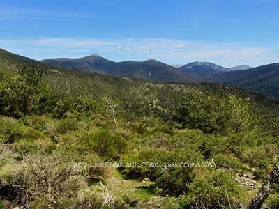 Colecci�n de Fotos de la Mujer Muerta