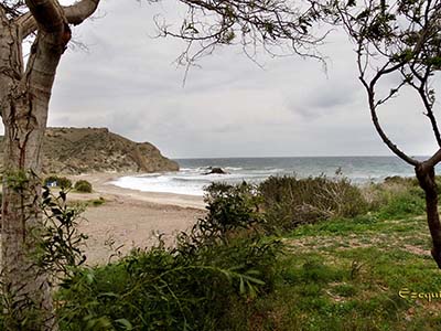 Colecci�n de Fotos del Parque Natural de Gata