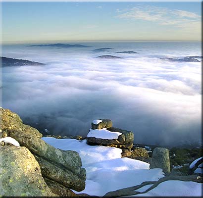 Mis colecciones de fotograf�as