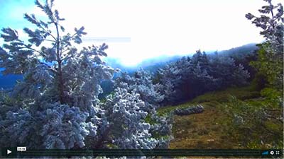 Video de Cencellada en el Collado de la Mina